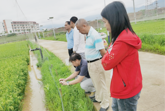 自治区农业农村厅领导赴上林县开展水产健康养殖和生态养殖示范区管理工作调研